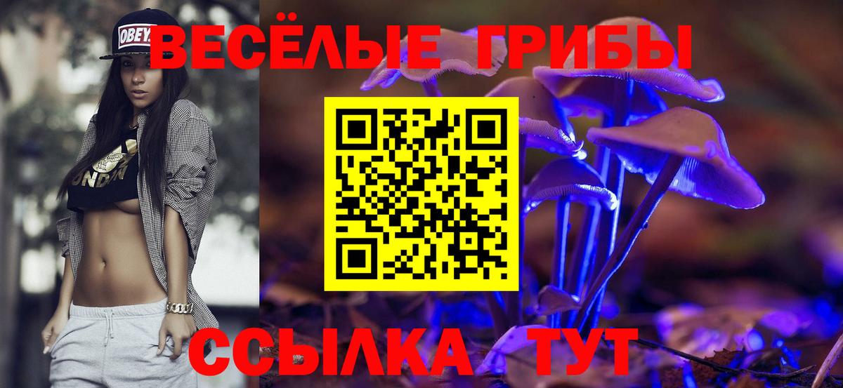 Фурманов  Галлюциногенные грибы MAGIC MUSHROOMS  Вход с VPN 